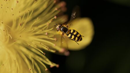 Çekişmeli Boşanma Sürecinde İstanbul Maltepe’de Lider Hukuk Büroları