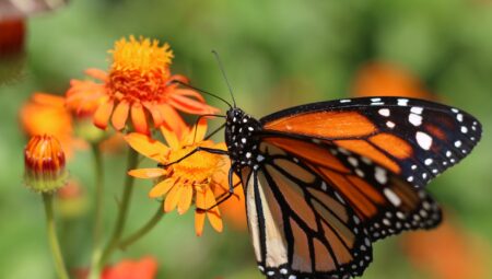 İstanbul Pendik’te Çekişmeli Boşanma Sürecini Yöneten Uzman Avukatlar