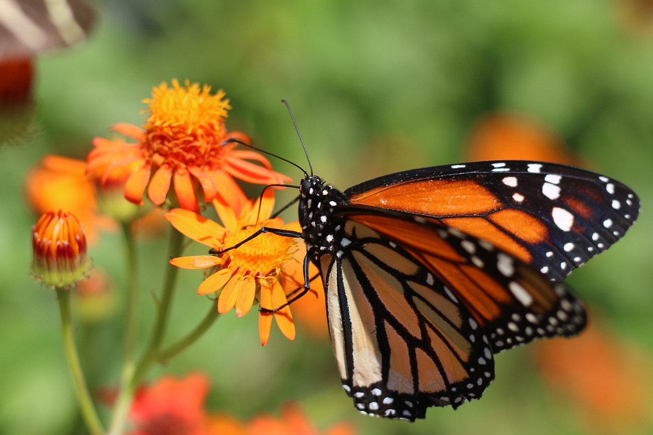 İstanbul Pendik’te Çekişmeli Boşanma Sürecini Yöneten Uzman Avukatlar
